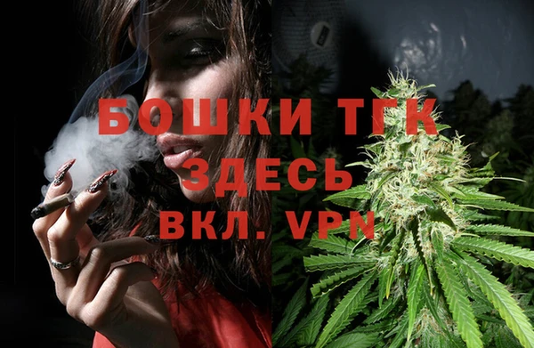 сатива Абаза