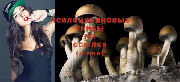 spice Заводоуковск