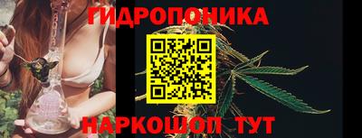 винт Дубна