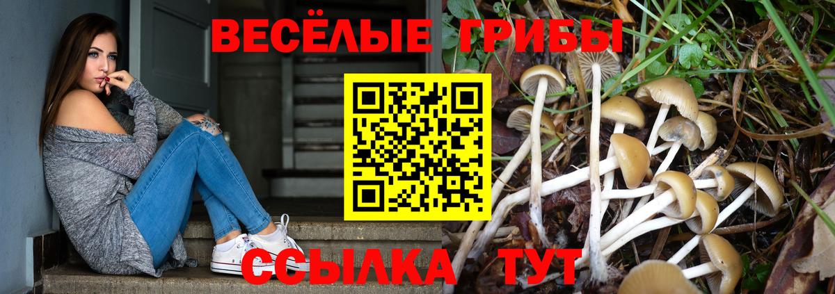 Галлюциногенные грибы MAGIC MUSHROOMS Ишимбай