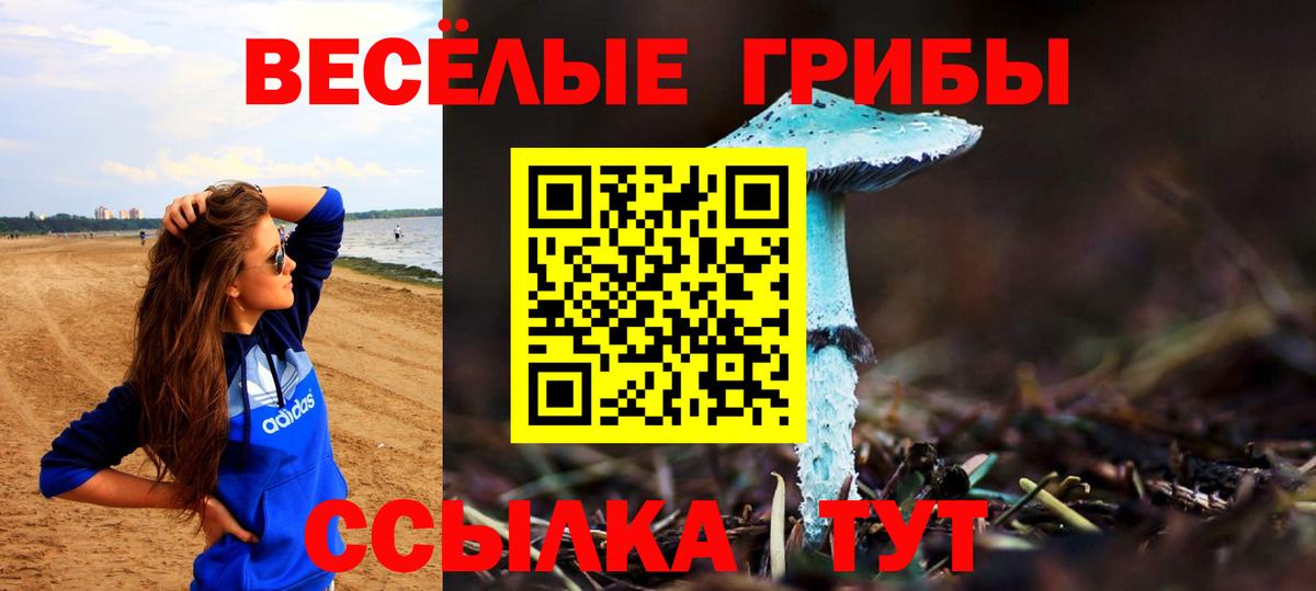 Ишимбай  Псилоцибиновые грибы GOLDEN TEACHER  Вход с VPN 